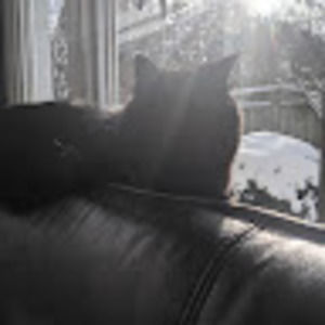 Meet your Posher, Chloe